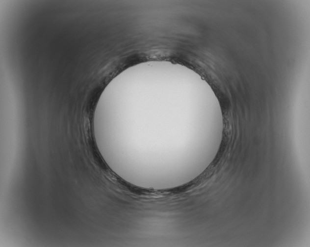 X0000112830523200908210941