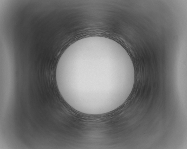 X0000112830524200908210941