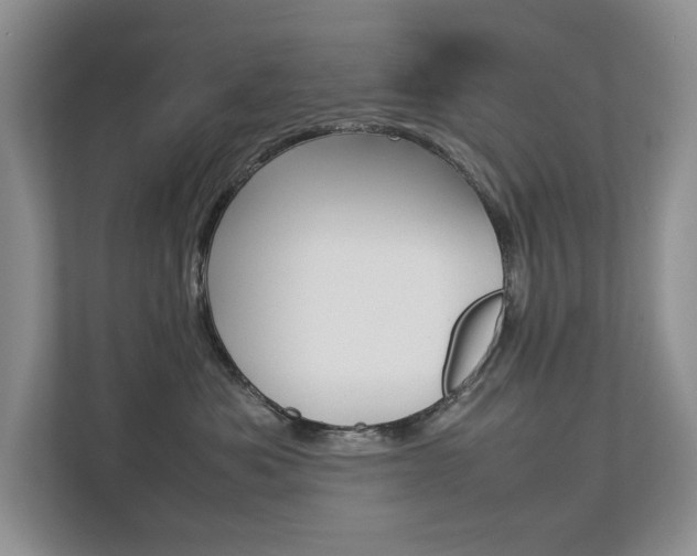 X0000112830525200908210941