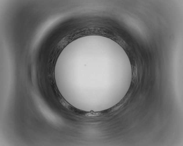 X0000112830526200908210941