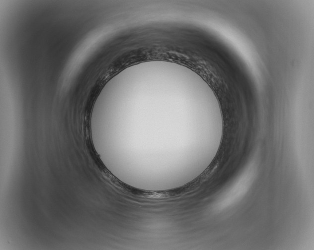 X0000112830527200908210941