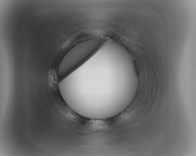 X0000112830528200908210941