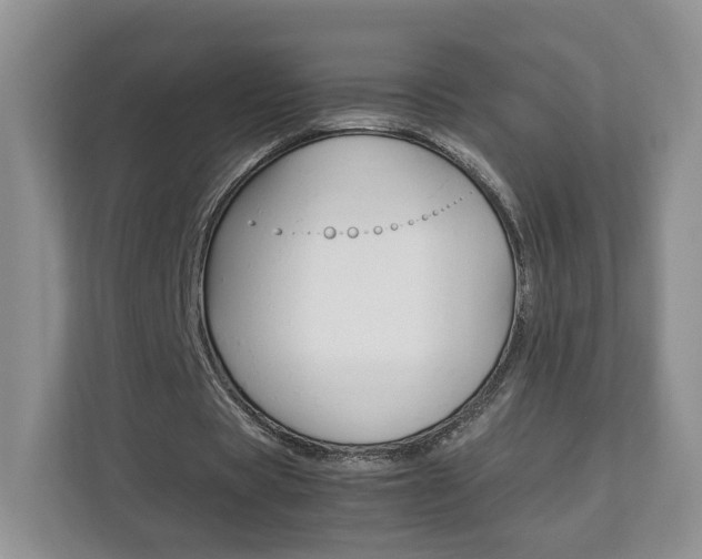X0000112830529200908210940