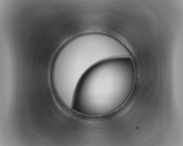 X0000112830530200908210940