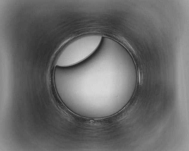 X0000112830531200908210940