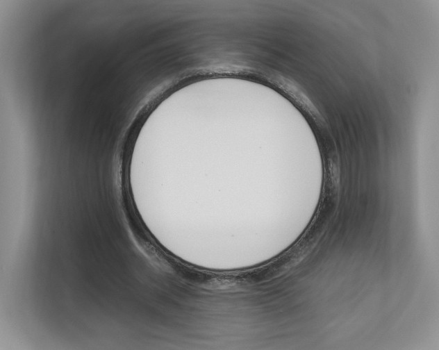 X0000112830534200908210940