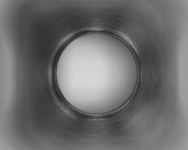 X0000112830535200908210940