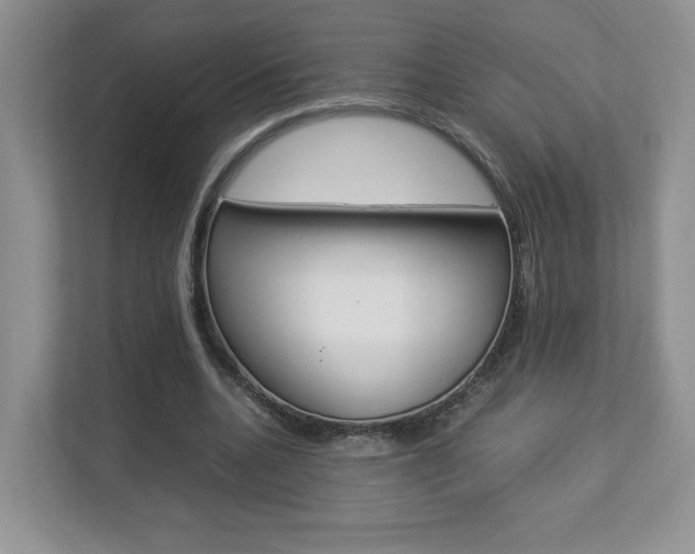 X0000112830536200908210940