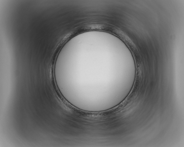 X0000112830537200908210940