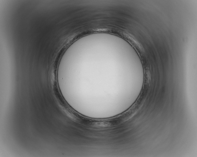 X0000112830541200908210941
