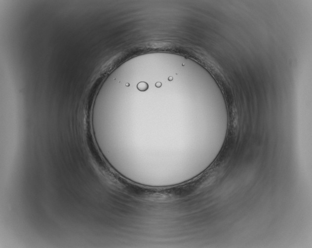 X0000112830542200908210941