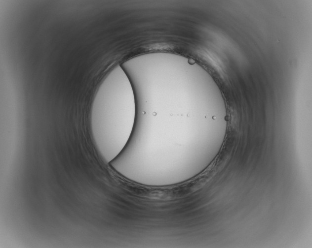 X0000112830549200908210941