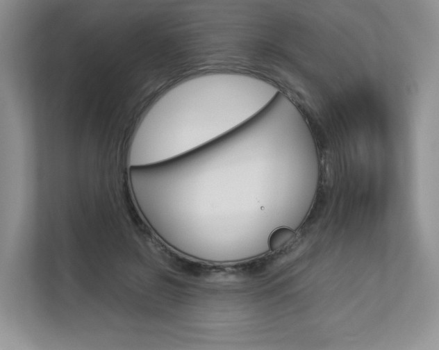 X0000112830550200908210941