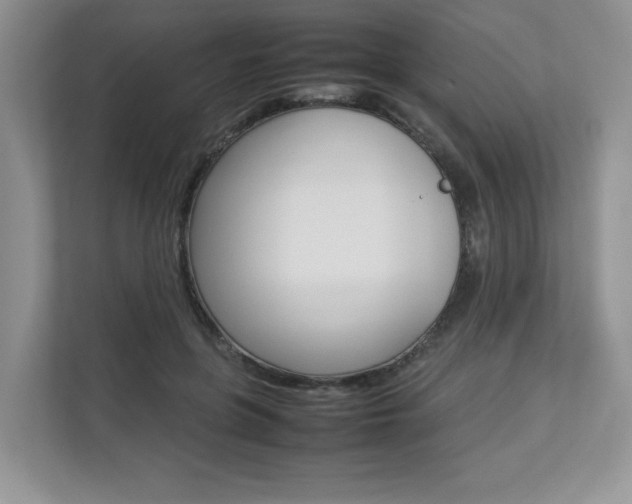 X0000112830551200908210941