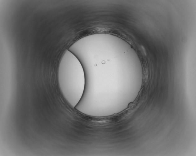 X0000112830553200908210941