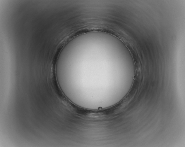 X0000112830556200908210941