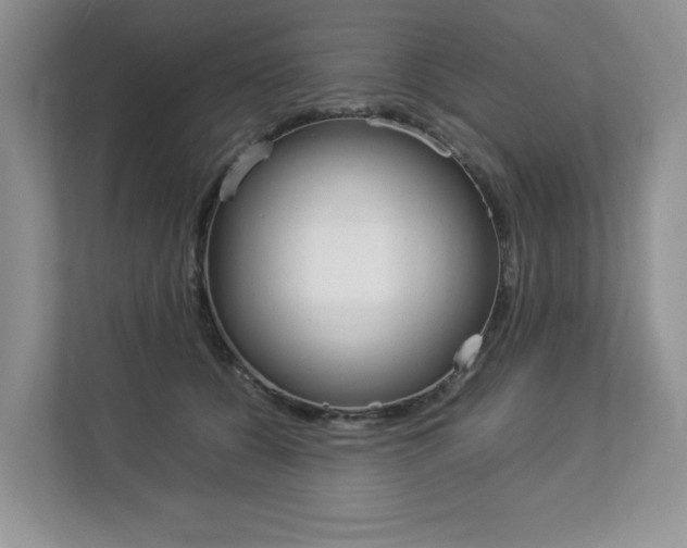 X0000112830560200908210941