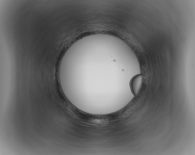 X0000112830563200908210941