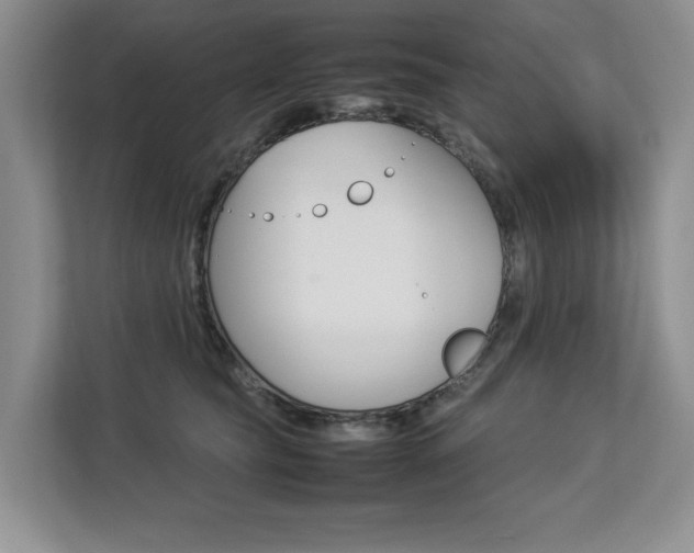 X0000112830565200908210941