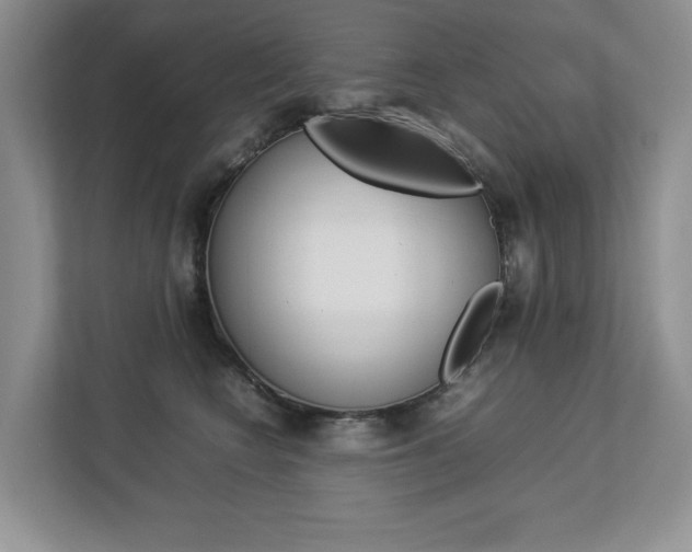 X0000112830566200908210941