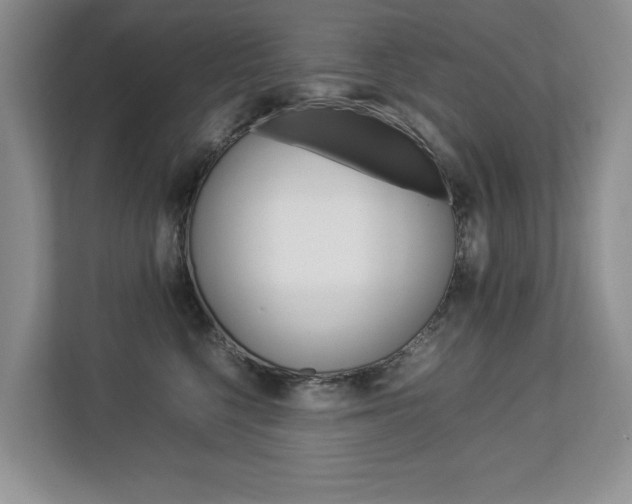 X0000112830568200908210941
