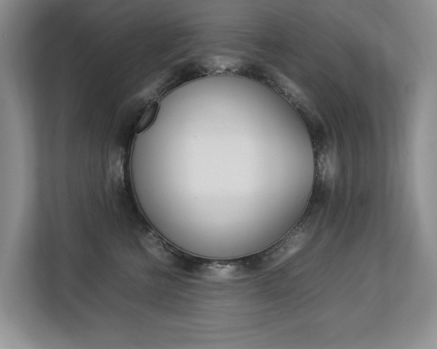 X0000112830570200908210941