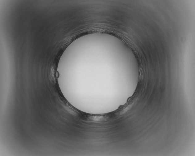 X0000112830575200908210941