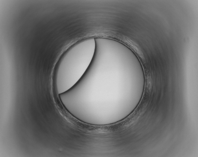 X0000112830578200908210940