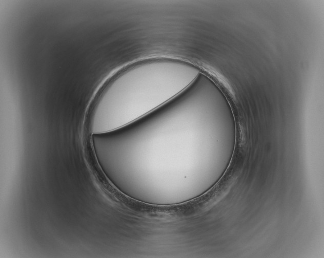 X0000112830580200908210940