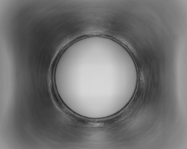 X0000112830582200908210940