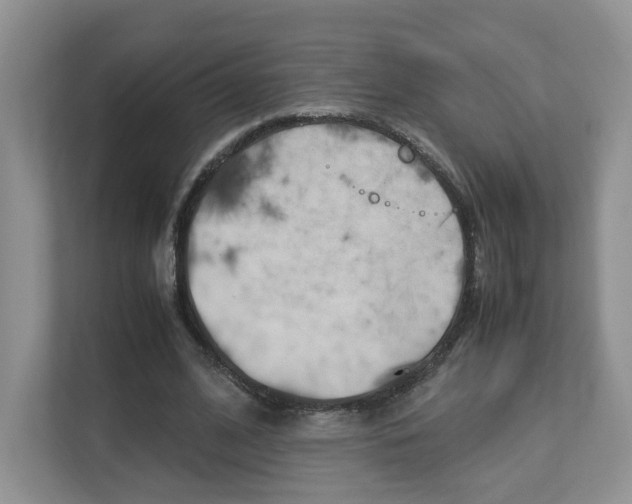 X0000112830584200908210940