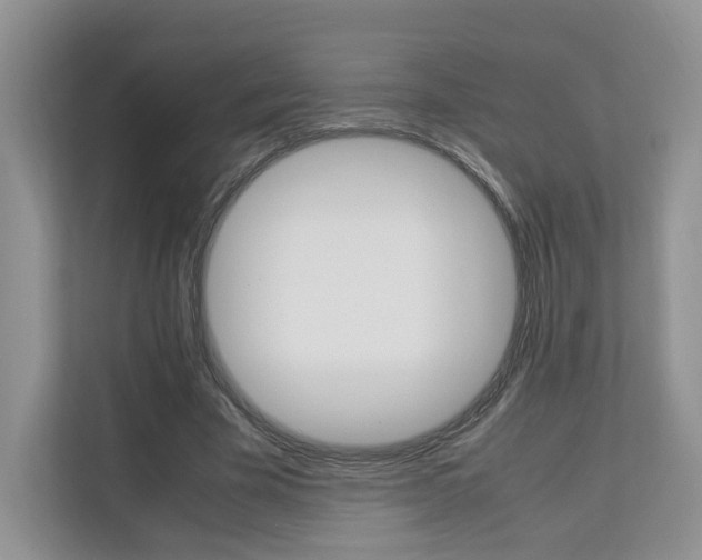 X0000112830585200908210940