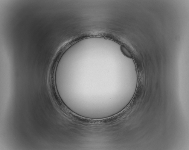 X0000112830587200908210940