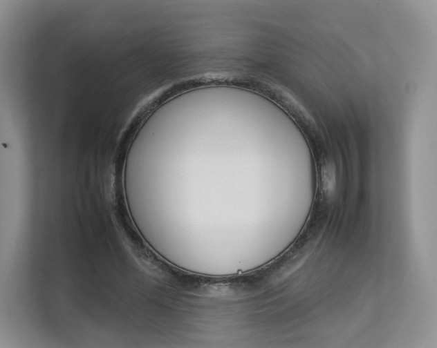 X0000112830588200908210940