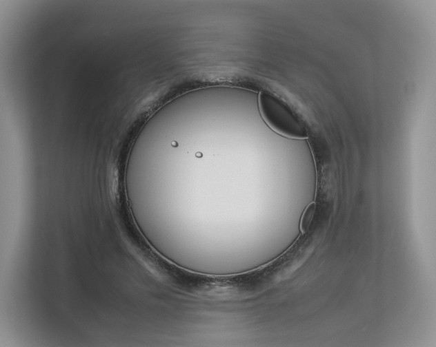 X0000112830589200908210940