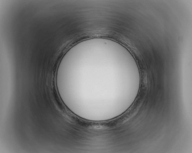 X0000112830590200908210940
