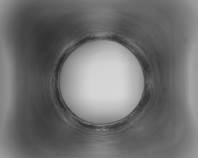 X0000112830591200908210940