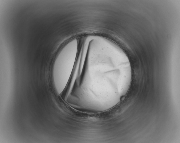 X0000112830592200908210940