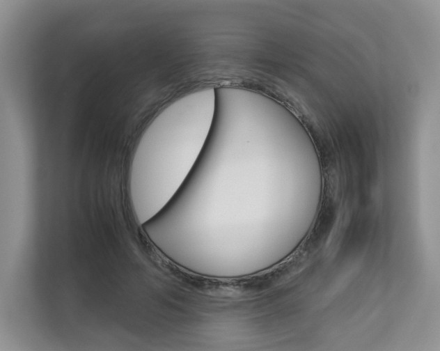 X0000112830594200908210940