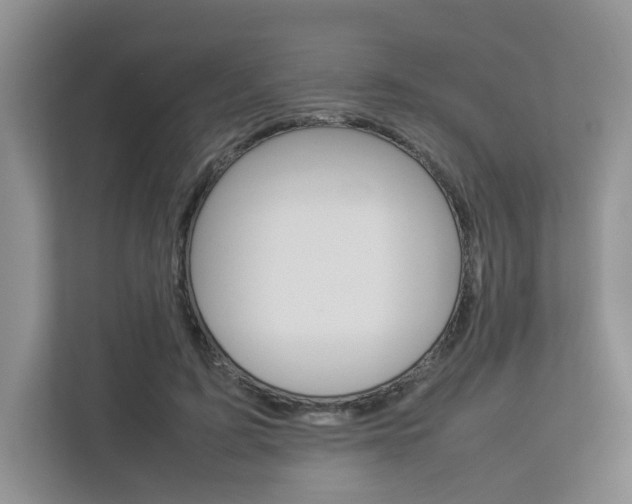 X0000112830595200908210940