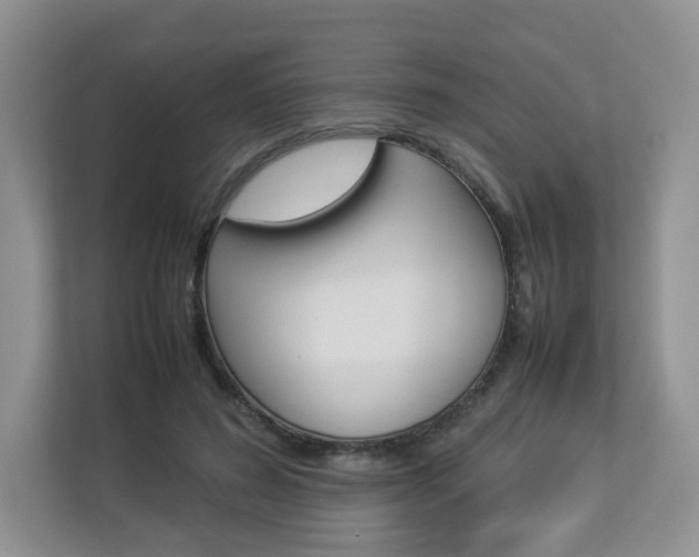 X0000112830596200908210940