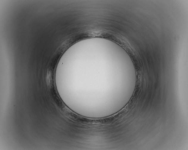 X0000112830598200908210940