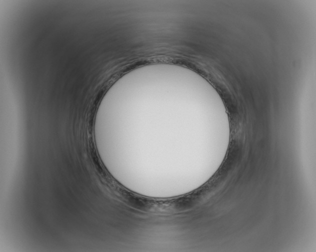 X0000112830599200908210940