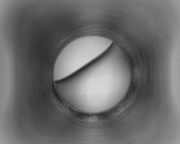 X0000112830600200908210940