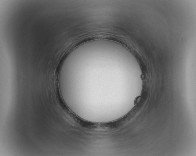 X0000112830601200908210940