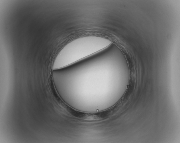 X0000112830605200908210940