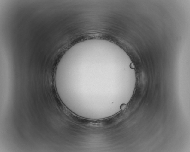 X0000112830606200908210940
