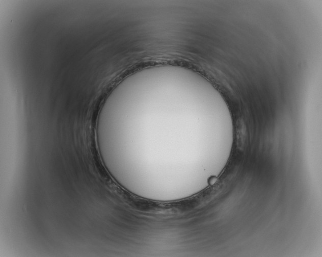 X0000112830608200908210940