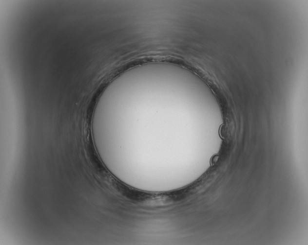 X0000112830609200908210940