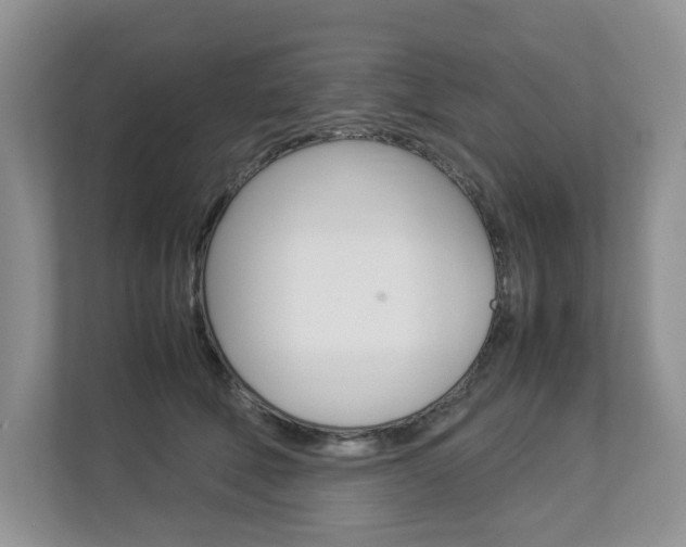 X0000112830610200908210940